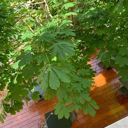 皇家学院酒店 诺利